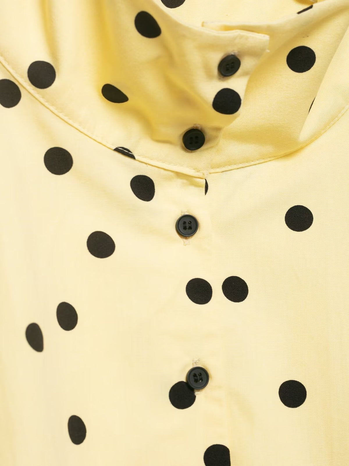 suit Women's 2 pieces pleated decorative polka dot coat+shorts
